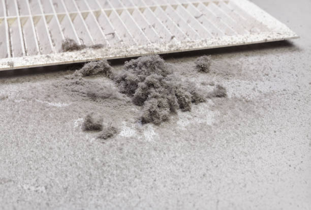 Best Residential Air Duct Cleaning  in Osceola, MO